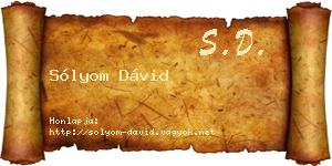 Sólyom Dávid névjegykártya